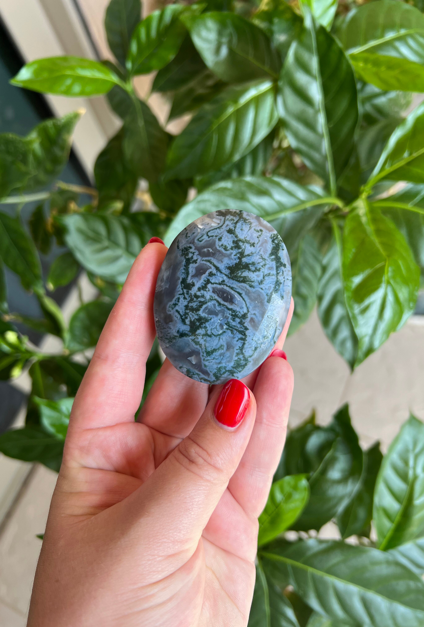 Blue Moss Agate Palm Stone