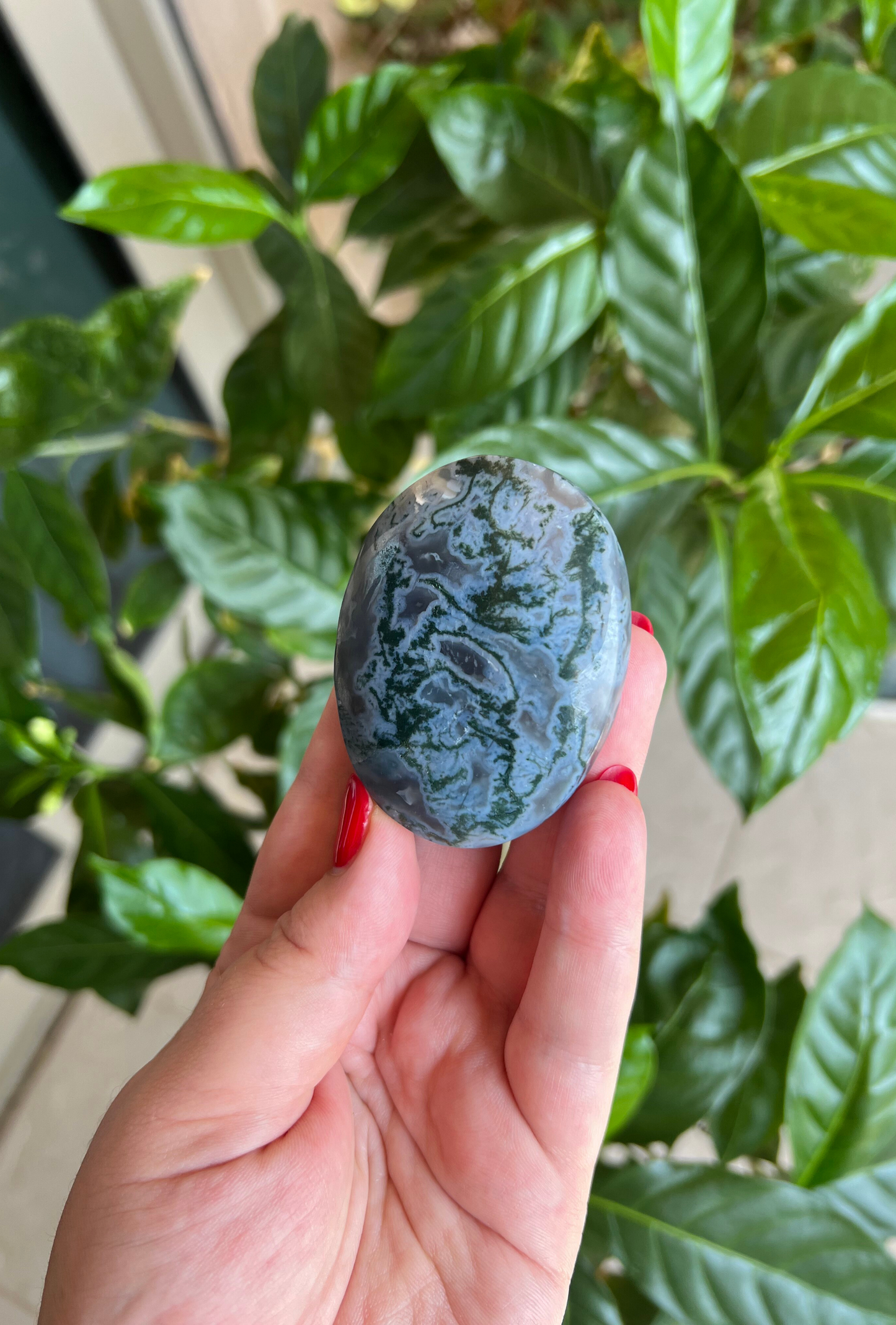 Blue Moss Agate Palm Stone