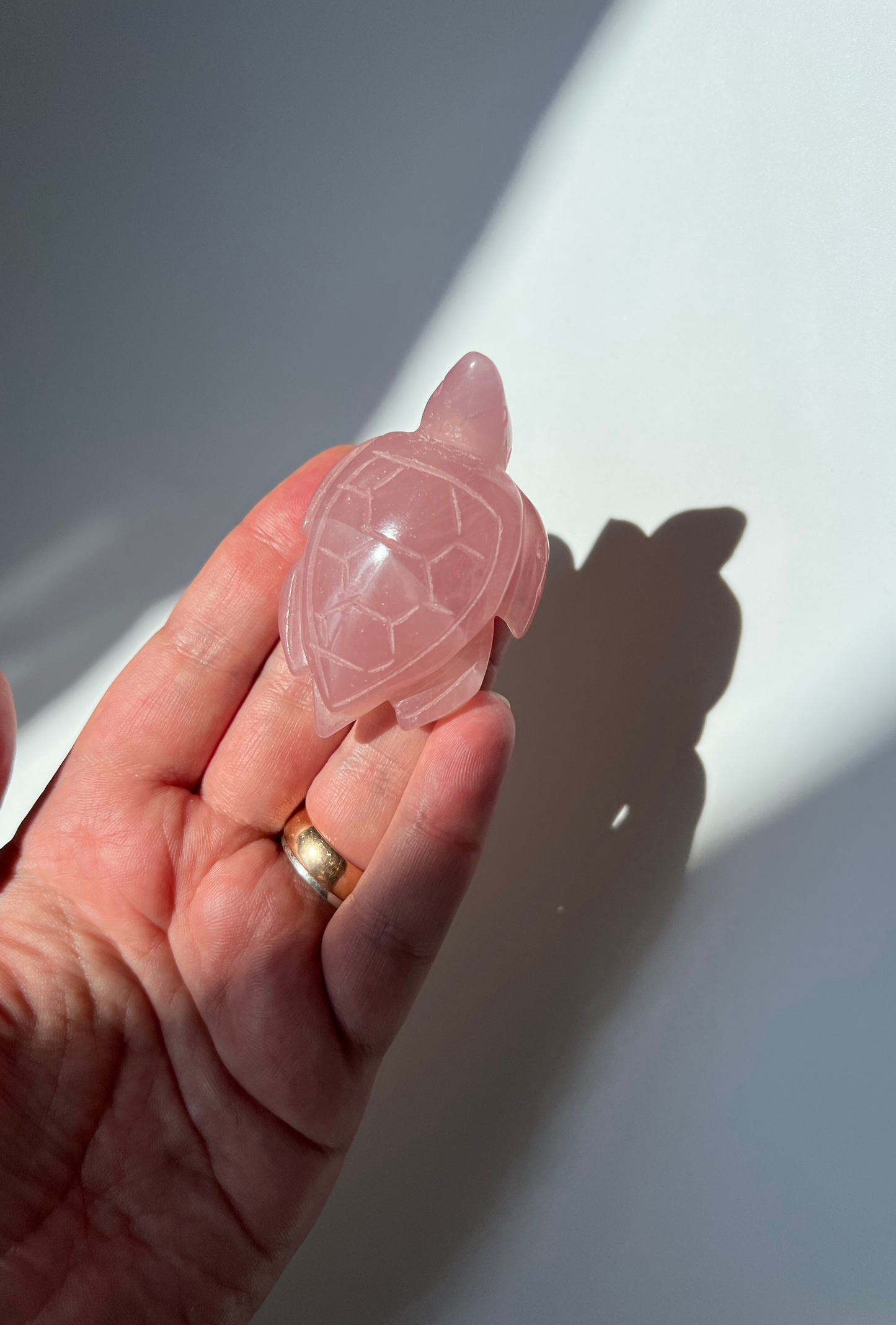 Rose Quartz Turtle