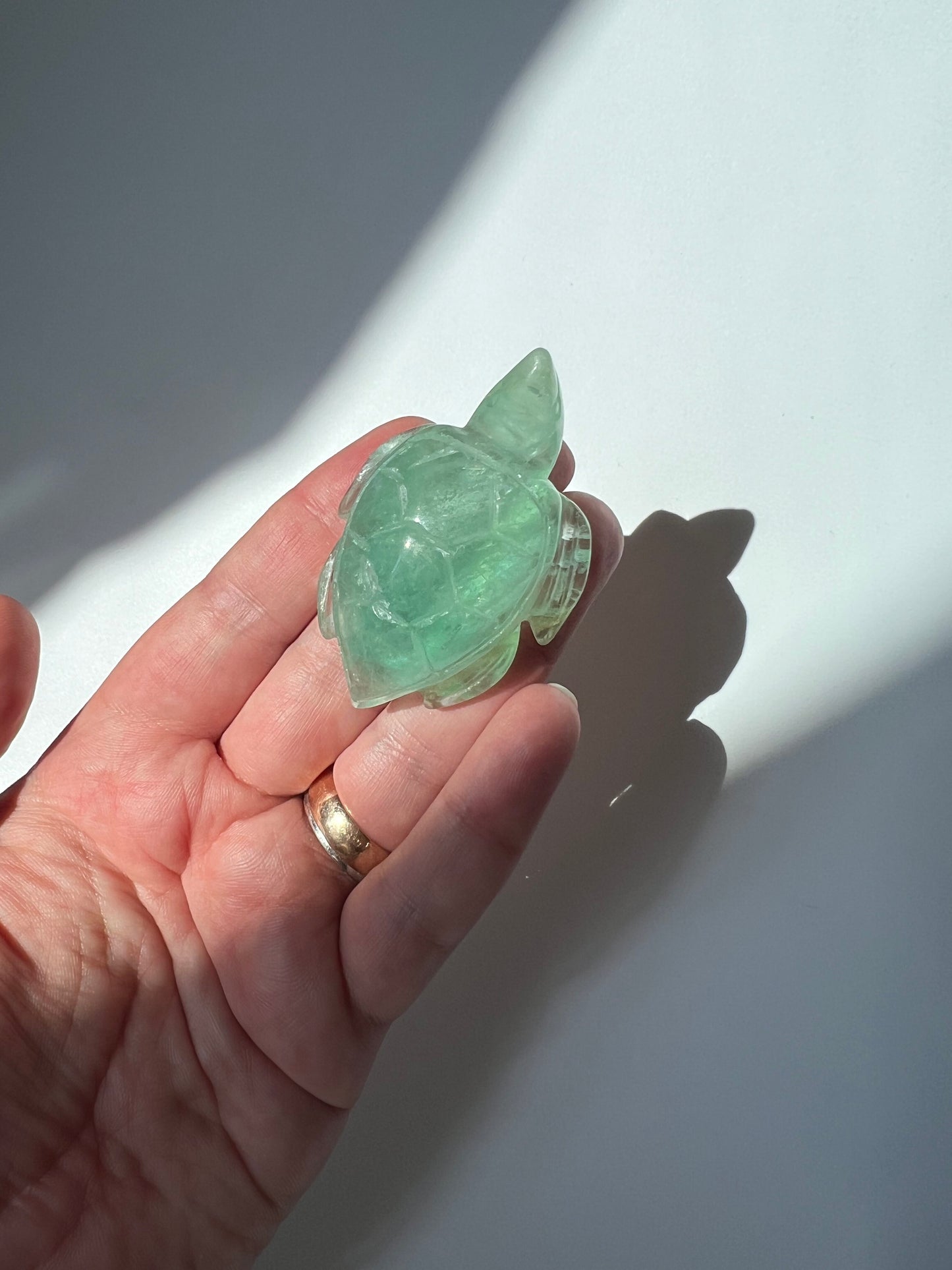 Green Fluorite Turtle